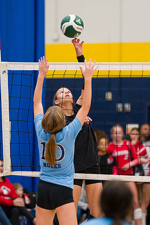 Titans 15U Venom Humber Preseason Classic 2023-04136GP_mls