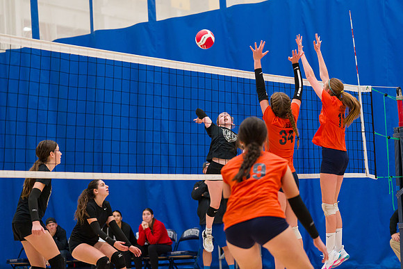 Titans 15U Venom Humber Preseason Classic 2023-04296GP_mls