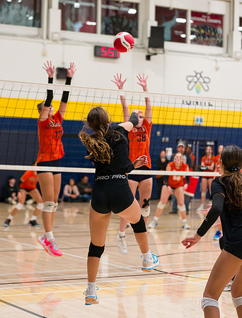 Titans 15U Venom Humber Preseason Classic 2023-04333GP_mls
