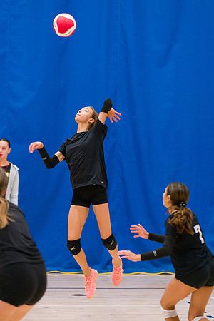 Titans 15U Venom Humber Preseason Classic 2023-04352GP_mls
