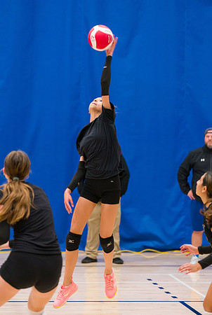 Titans 15U Venom Humber Preseason Classic 2023-04357GP_mls
