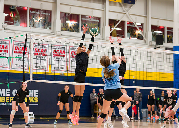 Titans 15U Venom Humber Preseason Classic 2023-04075GP