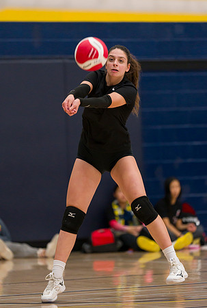 Titans 15U Venom Humber Preseason Classic 2023-04275GP