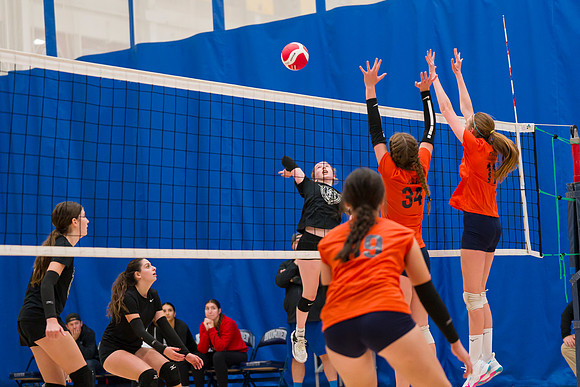 Titans 15U Venom Humber Preseason Classic 2023-04296GP