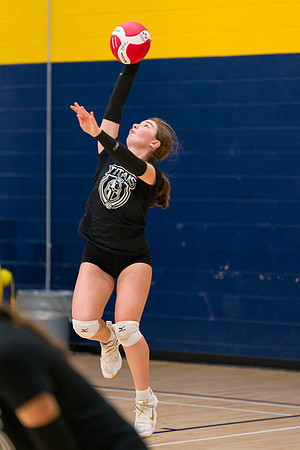 Titans 15U Venom Humber Preseason Classic 2023-04350GP