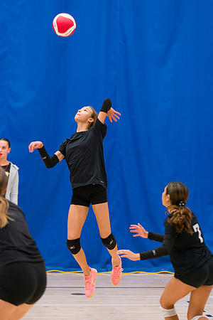 Titans 15U Venom Humber Preseason Classic 2023-04352GP