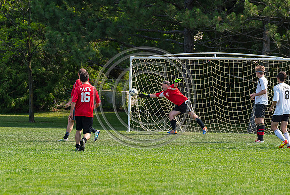 TFC Summer League July 27 2019 _5584