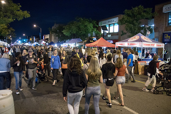 bloor-west-village-toronto-ukrainian-festival-2016_8862_high
