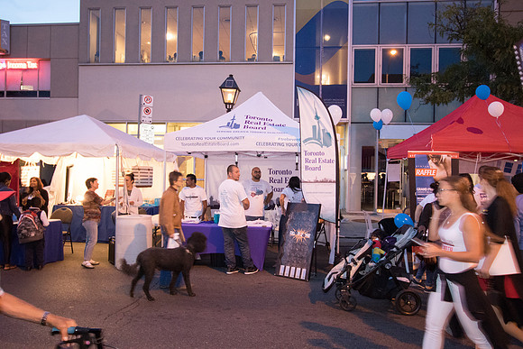 bloor-west-village-toronto-ukrainian-festival-2016_8829_high